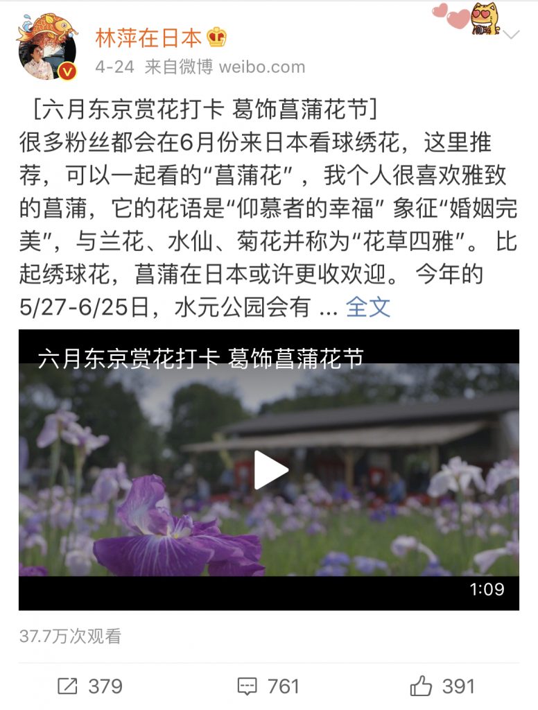 中国人インフルエンサー林萍在日本六月におすすめの観光地紹介として、葛飾区菖蒲園
