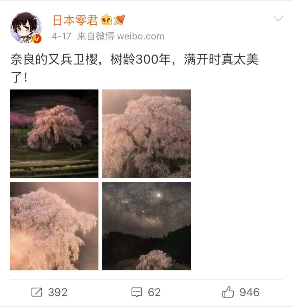 日本零君4月度のおすすめ観光地として奈良の300年桜を紹介した投稿