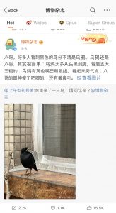 weibo | クロスボーダーネクスト株式会社