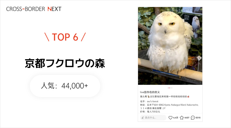 KYOTO OWL'S FOREST