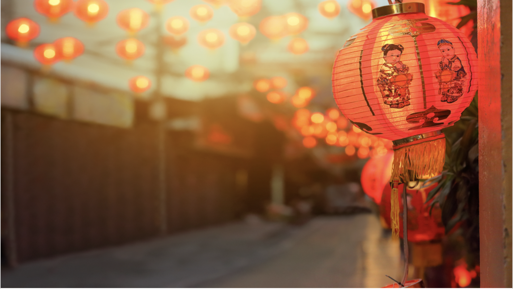 スクリーンショット 2025-12-26 152527 | クロスボーダーネクスト株式会社